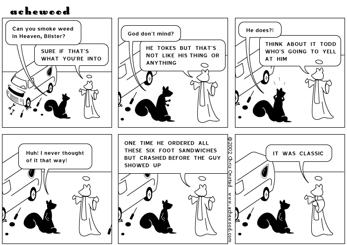 in my vision god has tevas or birkenstocks comic