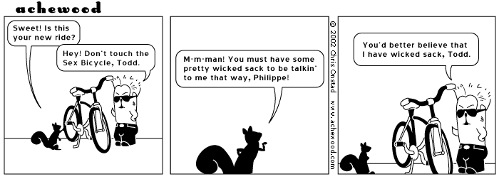 Jeez, now that everyone knows I fill out these captions, it's so embarrassing to use them comic