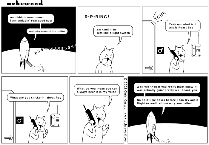 Do you think that people who like rap secretly like good music better? comic
