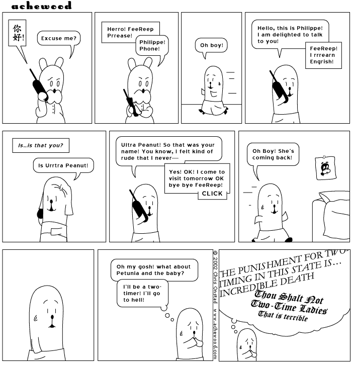 MY WIFE IS CHINESE. SHE WROTE THIS STRIP comic